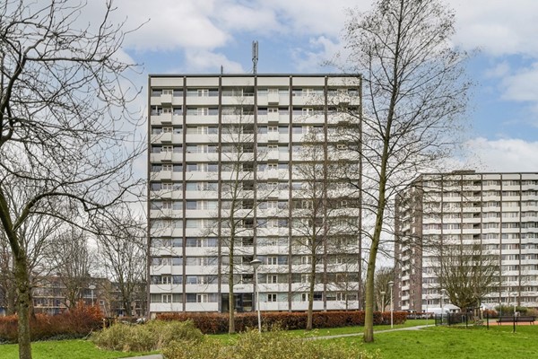 Roggekamp 355, Den Haag